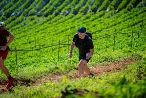 BIB: 
                            <button type="button" onclick="openModal(19162760)" class="btn btn-primary btn-sm float-right btn-popup" data-toggle="modal" data-target=".modal-high-quality">
                        <i class="fas fa-shopping-cart"></i> Add to Cart
                    </button>
                                            <button type="button" onclick="isThisMe(19162760, true)" class="btn btn-success btn-sm float-right btn-popup btn-isme hidden" data-toggle="tooltip" data-placement="bottom" title="นี่คือรูปของคุณใช่ไหม คลิกที่นี่เพื่อเอาเข้าอัลบั้ม">
                        <i class="fas fa-plus"></i> Add to album
                    </button>
                    <button type="button" onclick="isThisMe(19162760, false)" class="btn btn-warning btn-sm float-right btn-popup btn-isnotme hidden">
                        <i class="fas fa-ban"></i> Remove from album
                    </button>